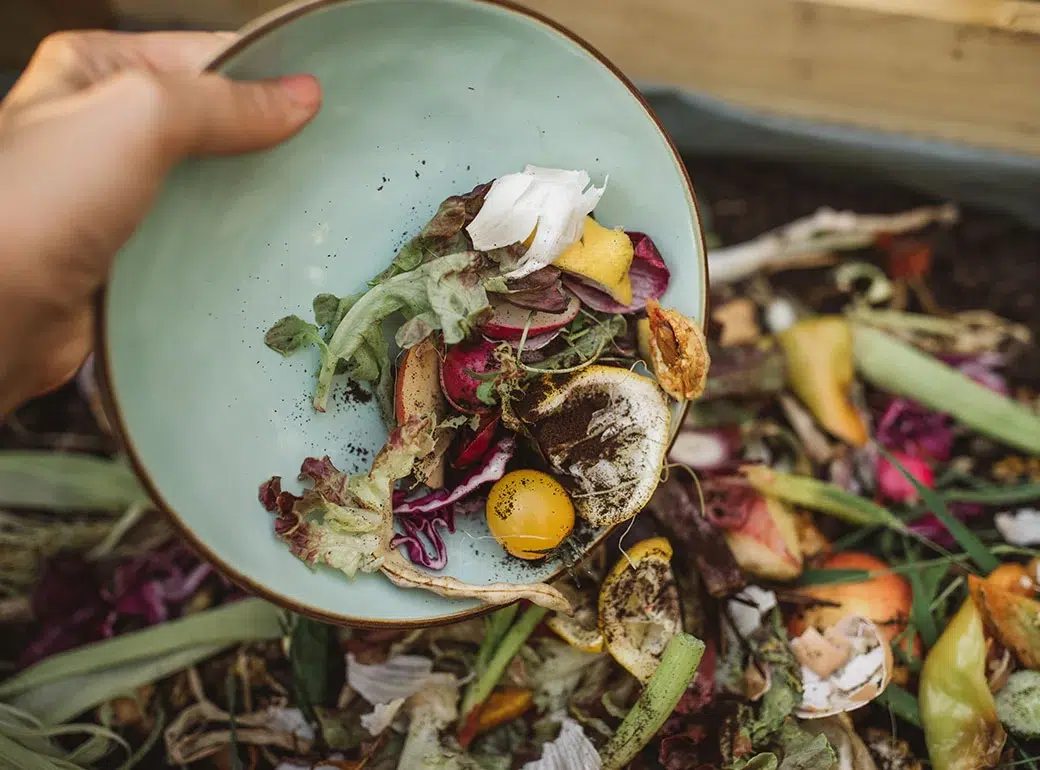 29 Tips for Tackling Food Waste in Your Restaurant